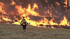 Waldbrände wüten in Spanien - Feuer in Katalonien außer Kontrolle