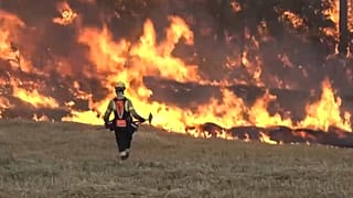 Waldbrände wüten in Spanien - Feuer in Katalonien außer Kontrolle
