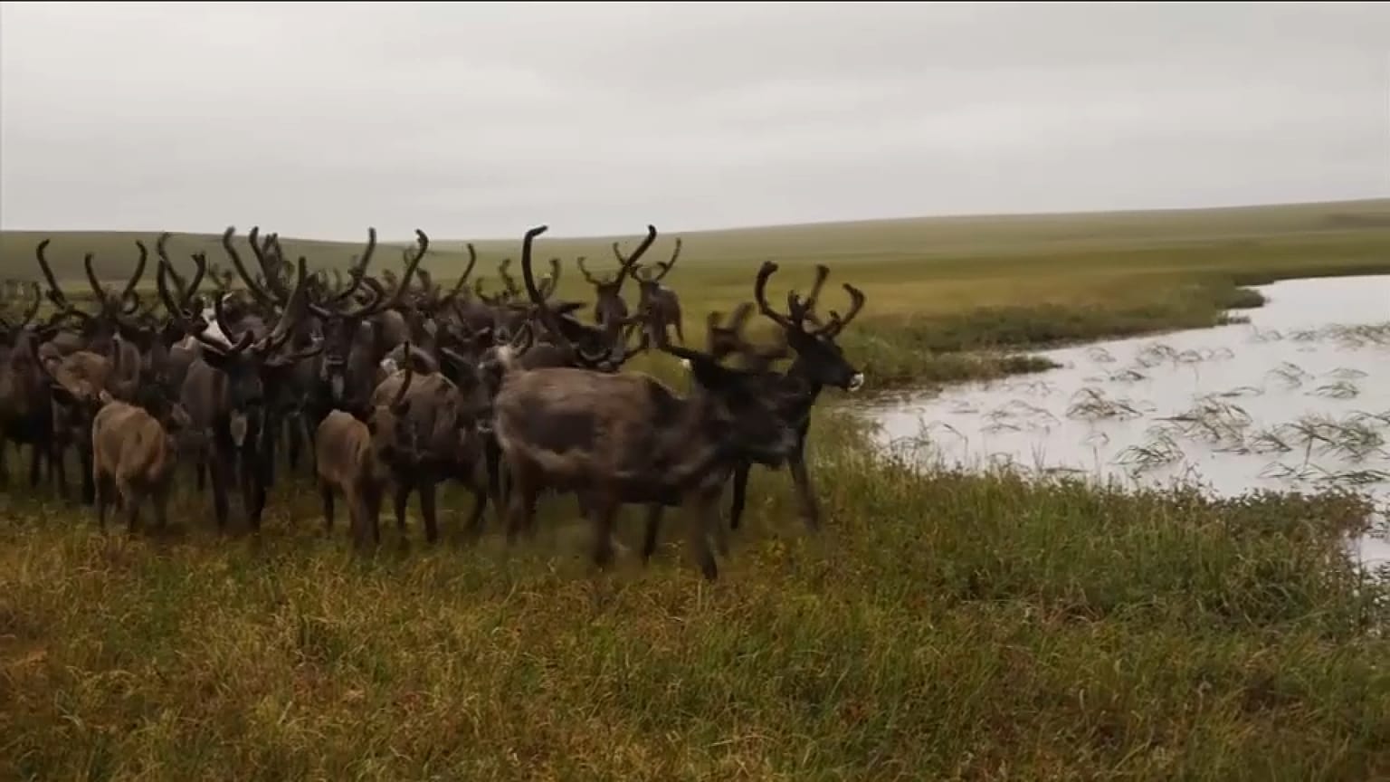 Якутия, Россия