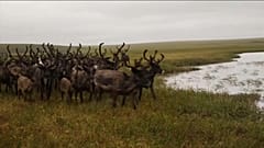 Якутия, Россия