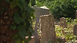 Еврейское кладбище в Будапеште