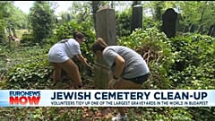 Volunteers clear the largest cemetery in Budapest, Hungary
