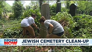 Volunteers clear the largest cemetery in Budapest, Hungary