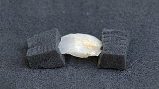 Un descubrimiento que avanza la cronología de la llegada a la península de las primeras poblaciones europeas