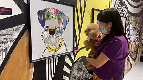 Pet owner looking at artworks with her dog