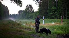 A member of the Lithuania State Border Guard Service patrols on the border with Belarus.