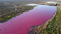 Aerial view of a lagoon that turned pink due to a chemical in the Patagonian province of Chubut, Argentina, on July 23, 2021. 