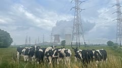 Central nuclear de Doel