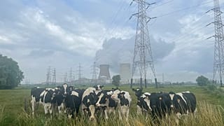 Central nuclear de Doel