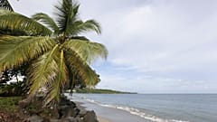 La Martinique se reconfine 