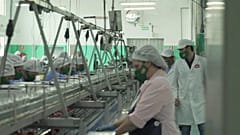 El número de ocupados en España aumentó en 464.900 personas en el segundo trimestre de 2021