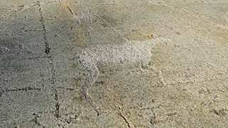 Карельские петроглифы