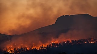 Where is best to go in the event of total societal collapse?