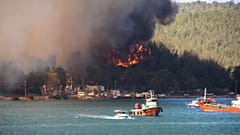 Лесной пожар в провинции Бодрум