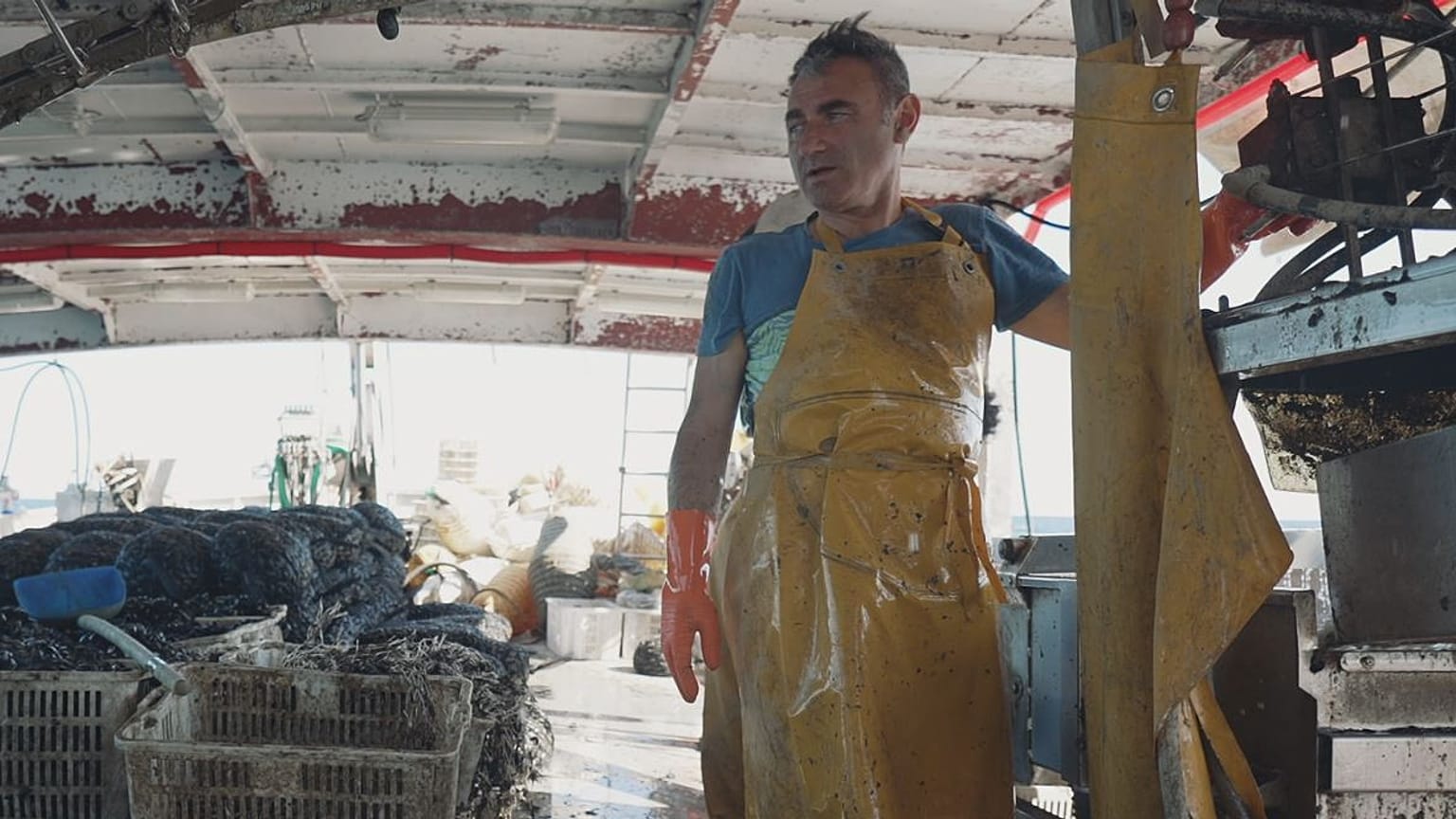 Captain Davide Sanulli and his crew harvest mussels off the coast of Emilia-Romagna in Italy.