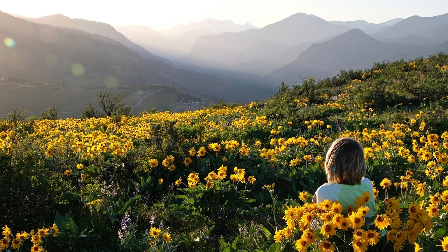 Nature isn't a fix-all solution, but it helps our wellbeing