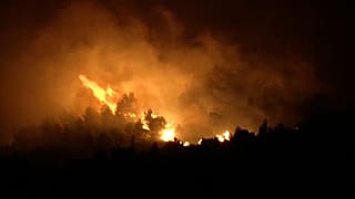 Incendios cerca de Palermo