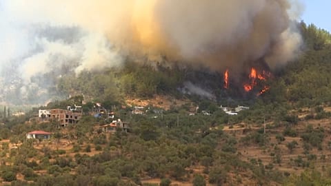 Turkey wildfire
