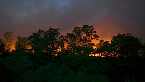 Waldbrände in Türkei: Çökertme vom Feuer umzingelt