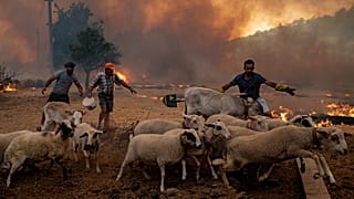 Locals scramble to flee or try and contain a forest fire at Cokertme on Turkey's southern coast