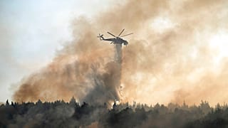 Φωτογραφία Αρχείου
