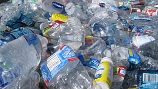 It may not come as a surprise but scientists have crunched the numbers to find out the true environmental cost of bottled water. 