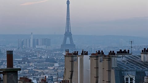 A French citizen has tried to sue the government for rising air pollution in Paris.