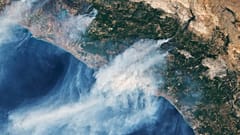 Manavgat'taki orman yangınının NASA'ya ait Landsat 8 uydusundan uzaydan çekilen görüntüsü