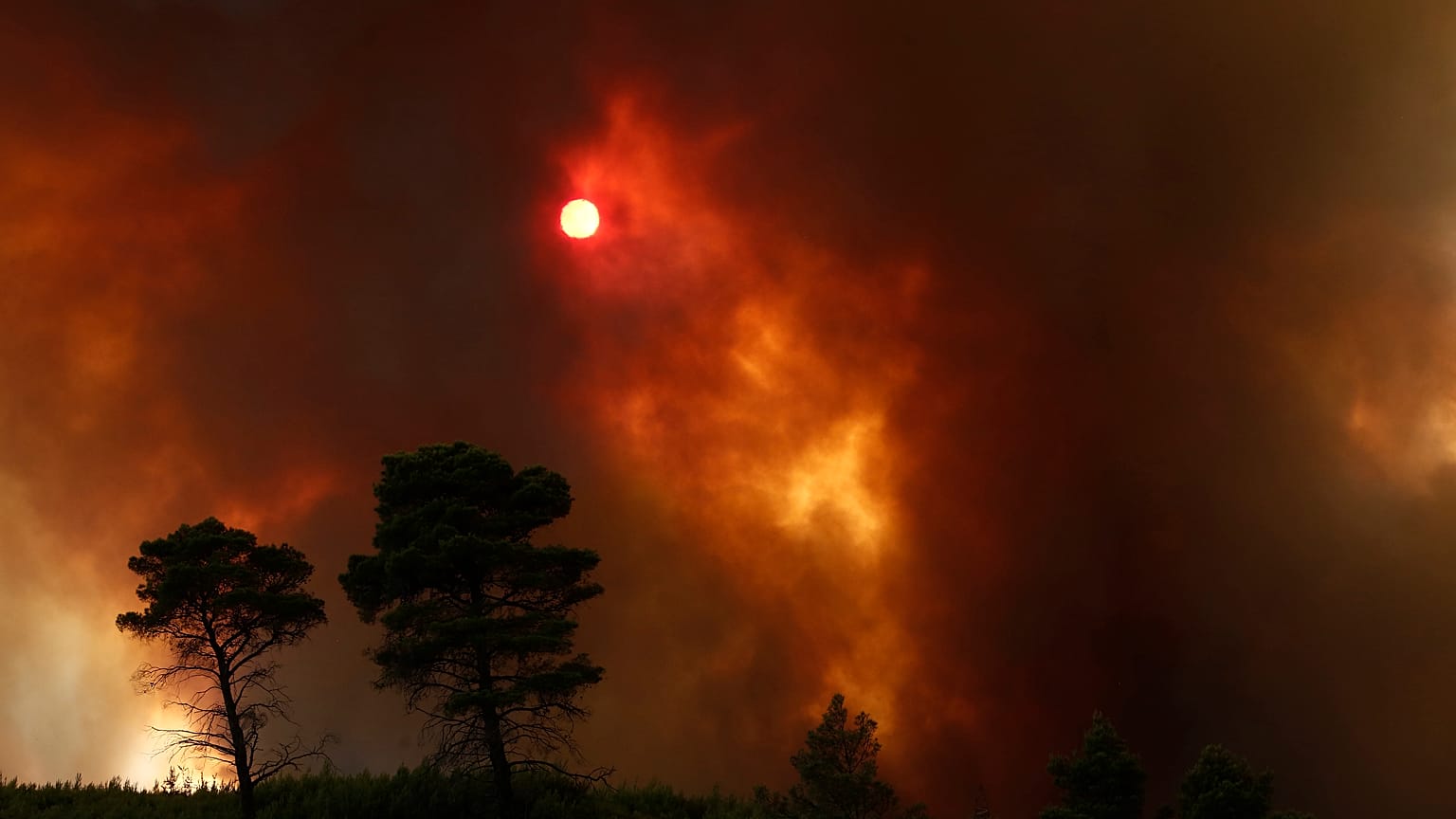 ΓΙΑΝΝΗΣ ΚΟΛΕΣΙΔΗΣ