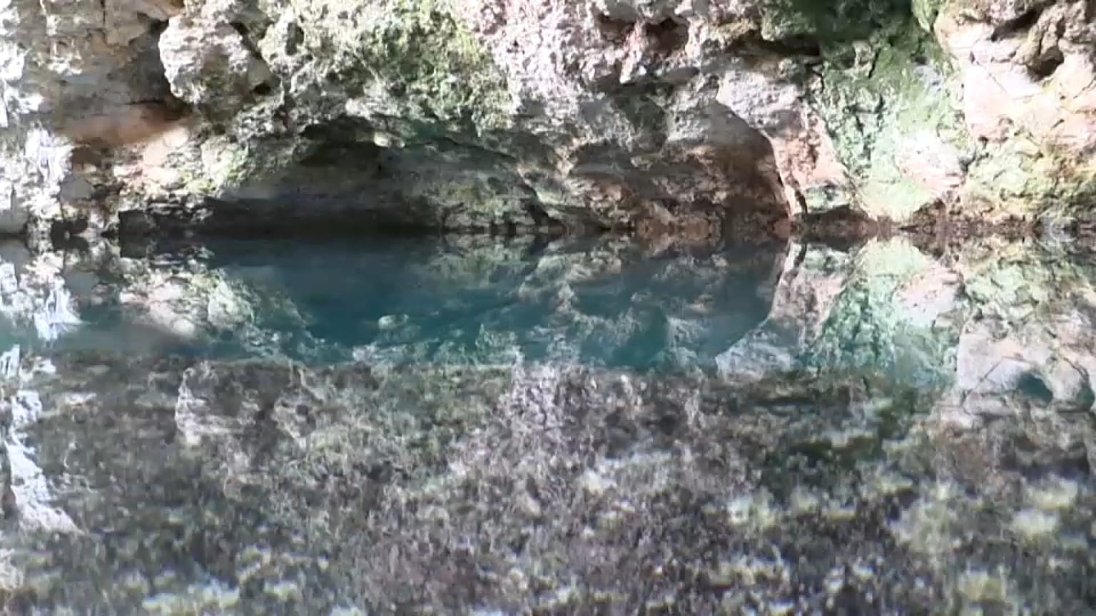 Uno de los miles de cenotes de la península de Yucatán, en México. 
