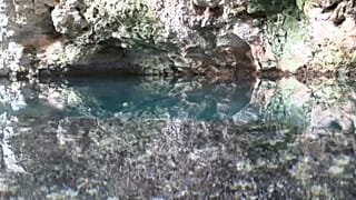Uno de los miles de cenotes de la península de Yucatán, en México.