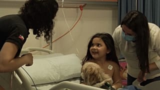 Child patient plays with therapy dogs