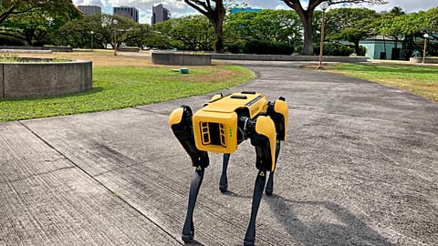 Photo depicts a robotic dog in Honolulu which is being used to take homeless people's temperatures.