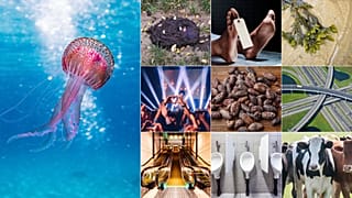 These are the 10 most unconventional energy sources we could be using in the near future
