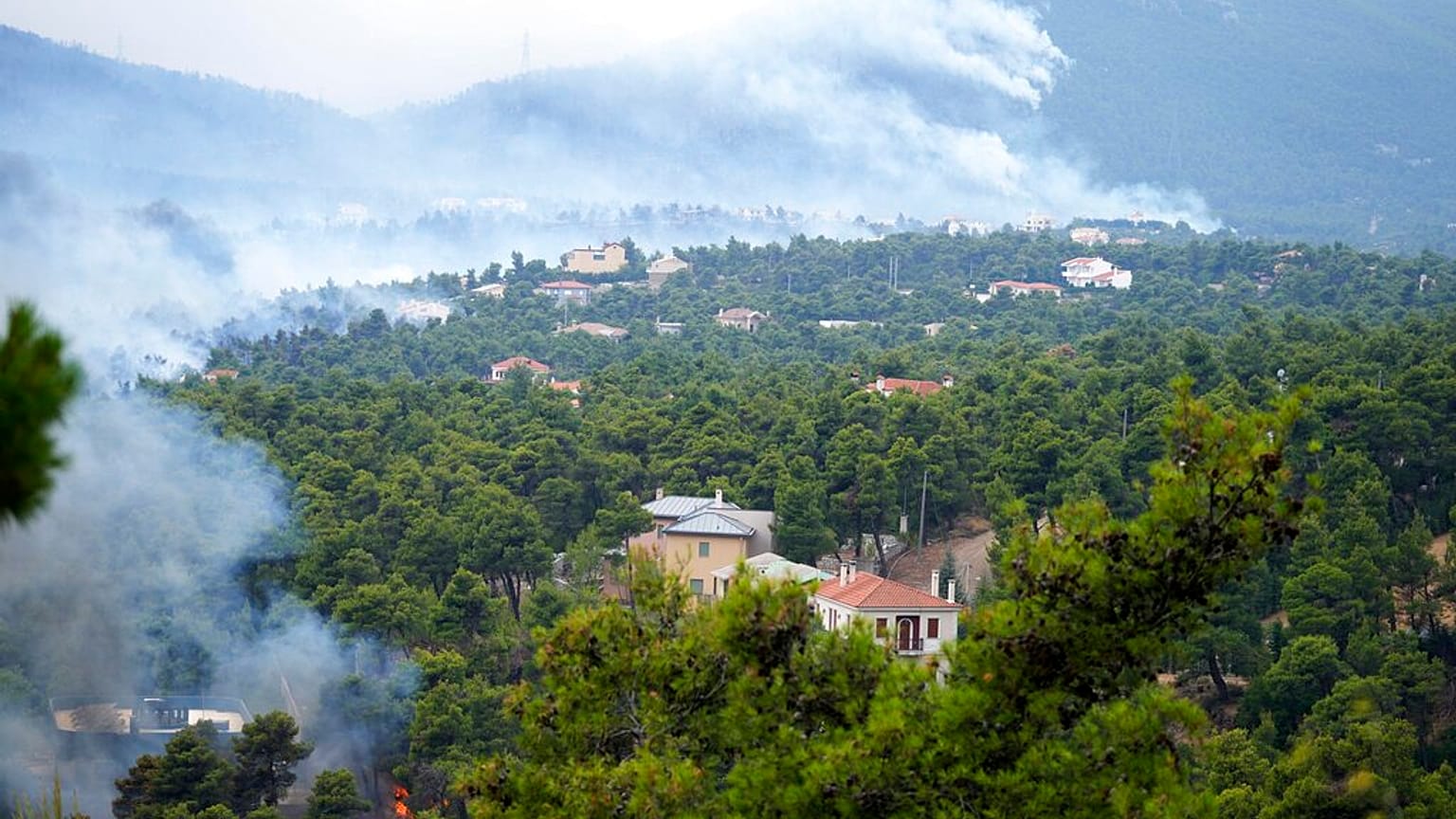 Ιπποκράτειος Πολιτεία