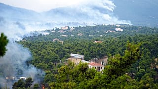 Ιπποκράτειος Πολιτεία
