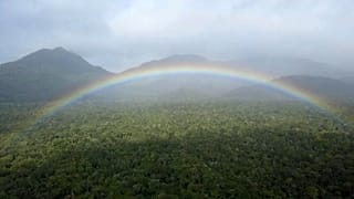 Mata Atlântica - Brasil