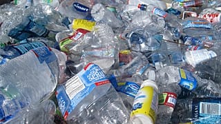 Es mag nicht überraschen, aber Wissenschaftler haben die wahren Umweltkosten von in Flaschen abgefülltem Wasser errechnet.
