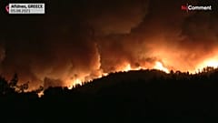 Waldbrand in Afidnes, nördlich von Athen