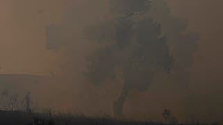 Εθελοντής στη μάχη της κατάσβεσης της φωτιάς στον Άγιο Στέφανο Αττικής