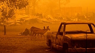 США: Пожар "Дикси" распространился на новые территории 