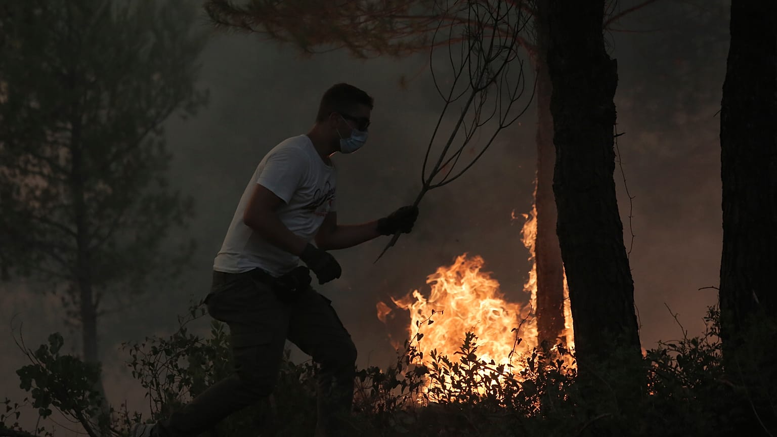ΚΩΣΤΑΣ ΤΣΙΡΩΝΗΣ