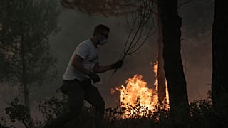 ΚΩΣΤΑΣ ΤΣΙΡΩΝΗΣ