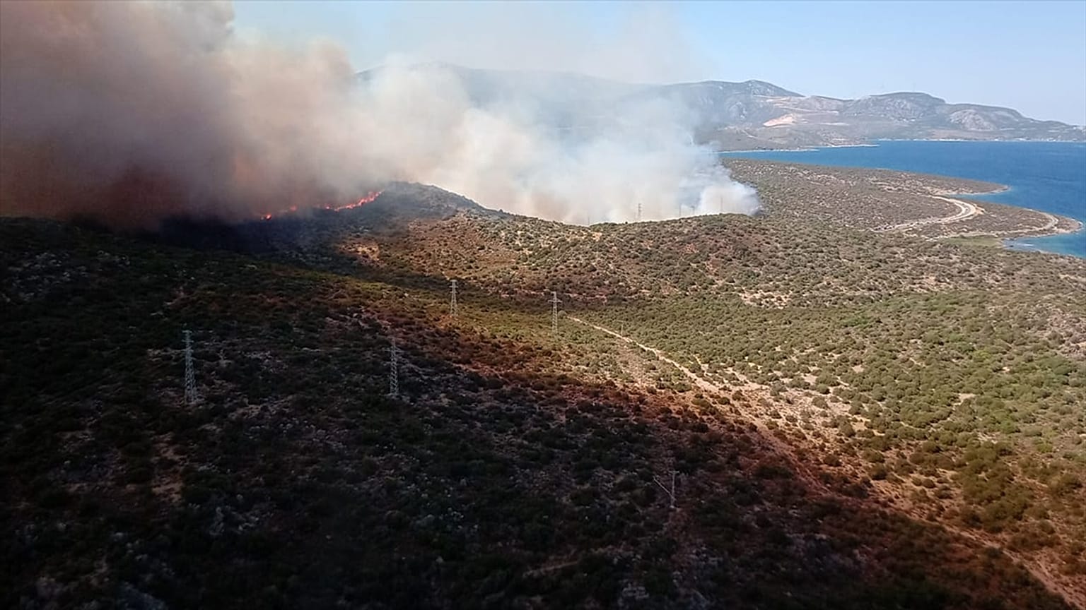 Urla'da yangın