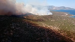 Urla'da yangın