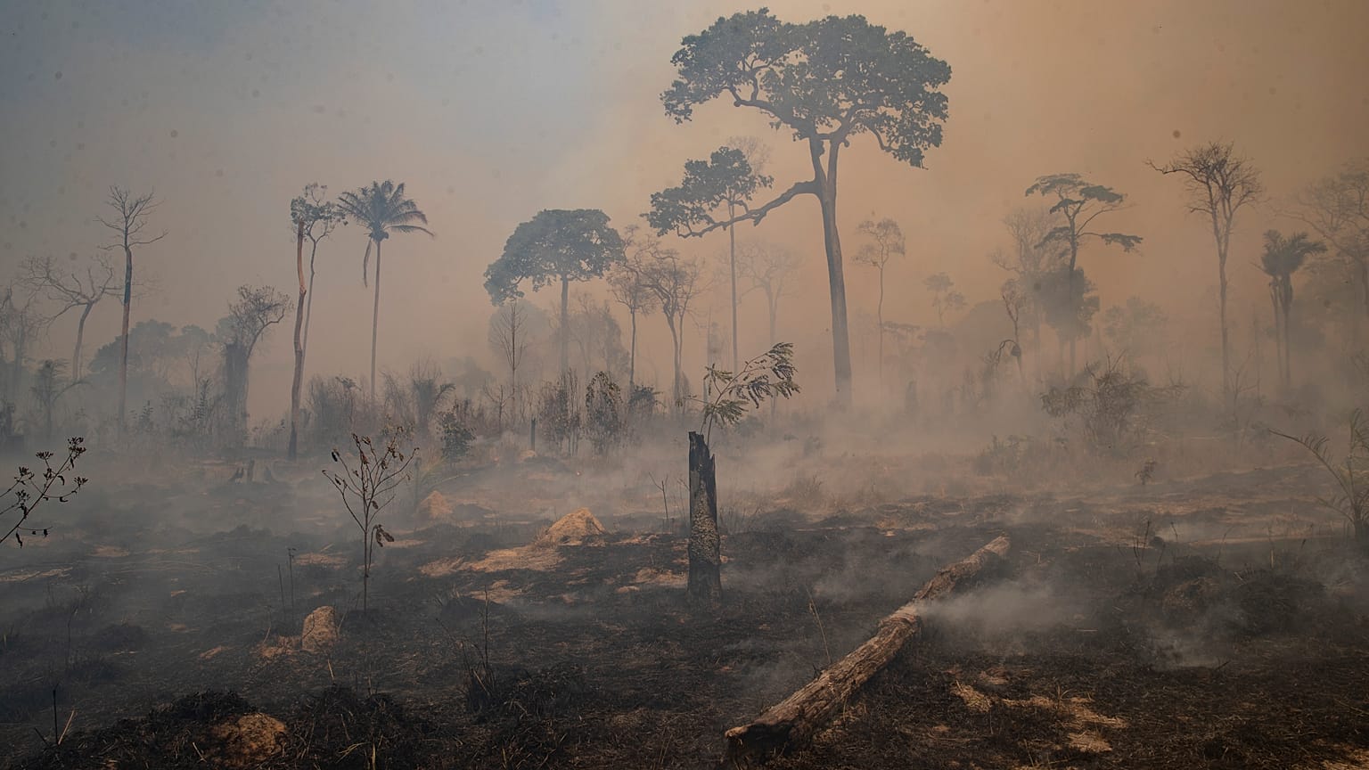 Un altro anno nero per gli incendi in Brasile