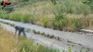 Presunto piromane in azione