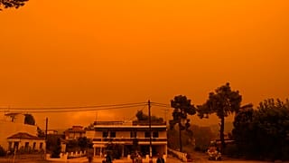 Columnas de humo y cenizas bloquean el sol sobre Eubea la segunda isla más grande de Grecia, mientras un incendio forestal de varios días de duración devora bosques vírgenes. 