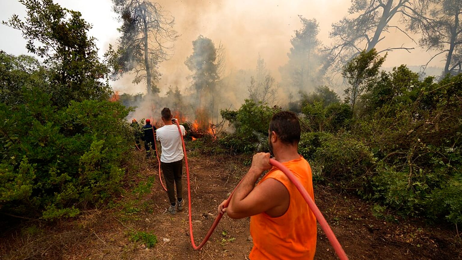 Incendies de la Calabre à la Sibérie, la fumée des feux de forêt atteint le pôle Nord