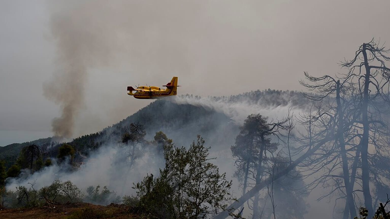 Canadair επιχειρεί στα Ελληνικά Ευβοίας